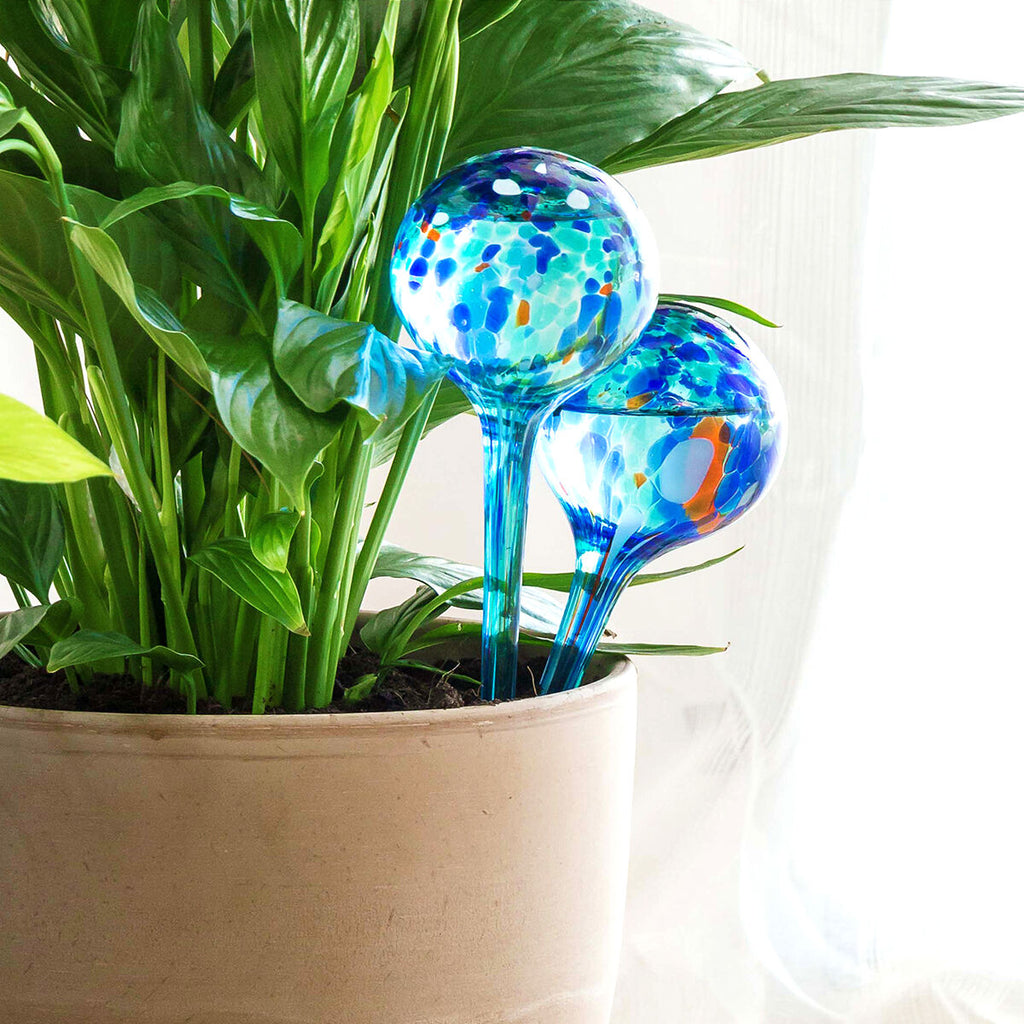 Two watering globes inserted into a plant pot, surrounded by lush green leaves, highlighting their function in an indoor setting.