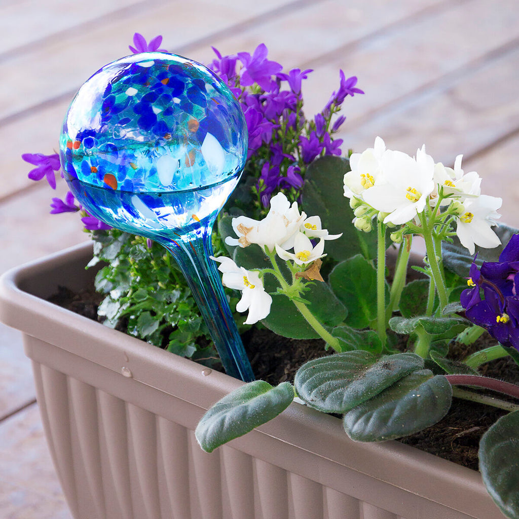 A close-up of a watering globe inserted into a flower pot with blooming flowers, with light reflecting beautifully off the glass surface.
