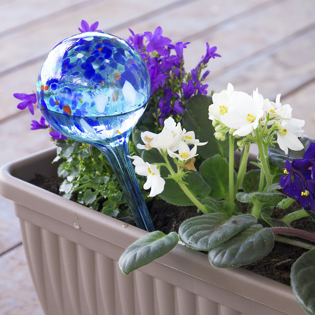 A close-up of a watering globe inserted into a flower pot with blooming flowers, with light reflecting beautifully off the glass surface.